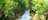 Tufa dams on the Flora River