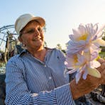 Person looking at lotus on board the 45 Minute Airboat Safari