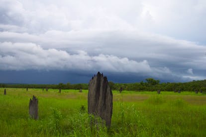 Magnetic Termite Mounds