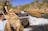 Crystal Falls