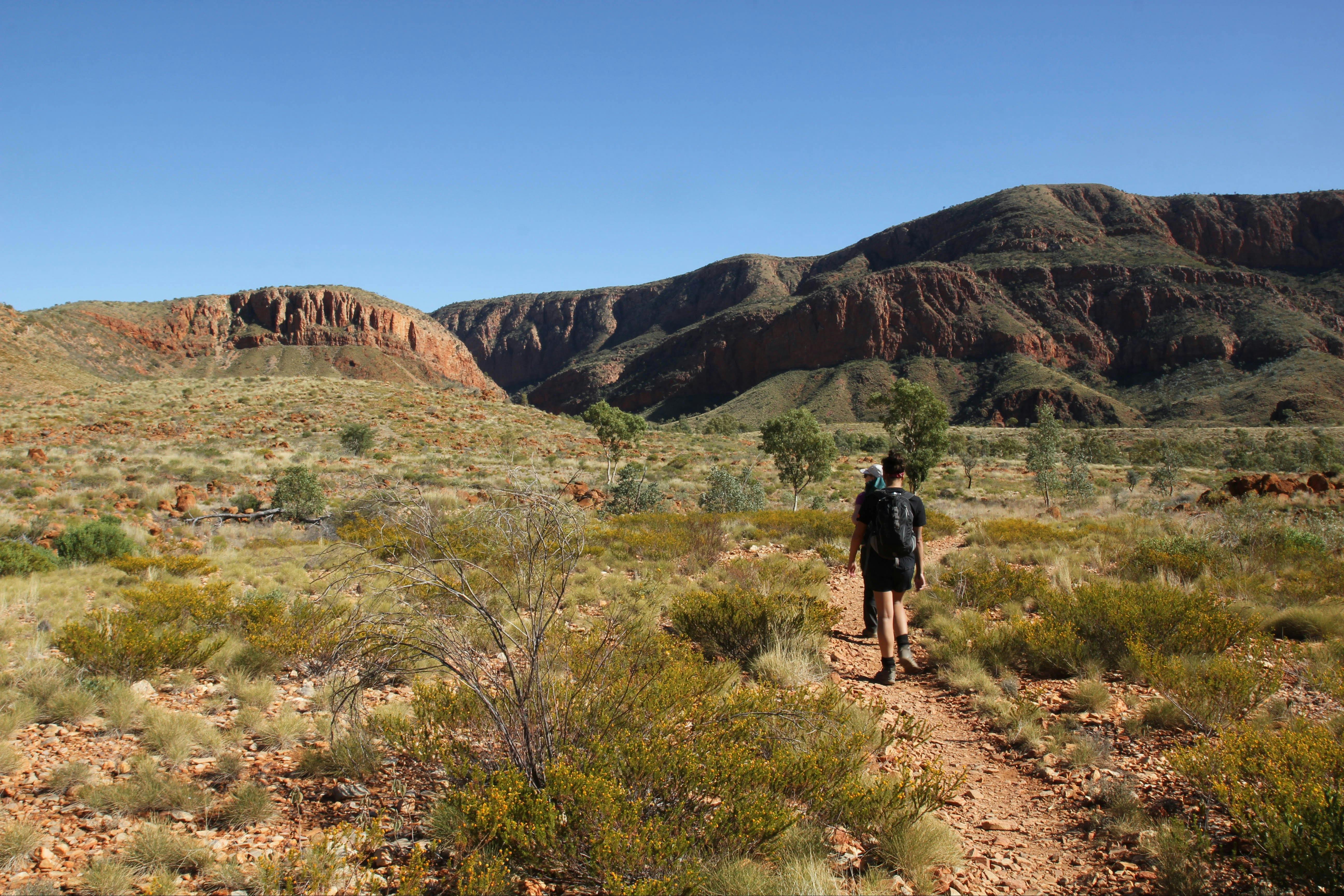 Walking towards Ormiston Gorge