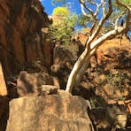 rock formation