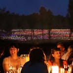 'A Night at Field of Light’ experience