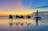 Sunset Camel Ride