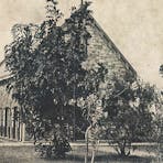 1900s - Darwin's first Church of England