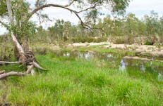 Section of Ormiston Creek, near to the old homestead ruins