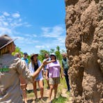 Autopia Tours Litchfield Termite Mounds