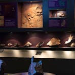 Natural Science Gallery