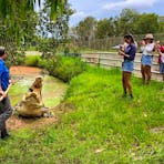 group of people watching croc feeding