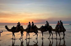 Mindil market patrons on camel rides