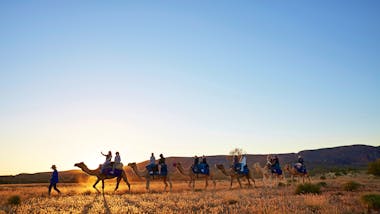 Sunset 1 Hour Camel Ride