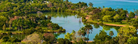 Aerial view of people paddle boarding in Lake Alexander at East Point Reserve
