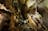Cutta Cutta Caves