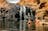 Kakadu's Ancient Secrets