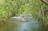 Florence Creek walk