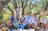 East MacDonnell Ranges Half Day Tour - Small Group