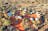 3 Night Uluru Adventure (Alice Springs to Yulara)