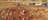 Gemtree Tours