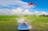 Wetlands Airboat Adventure
