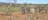 Winnecke Goldfield Cemetery