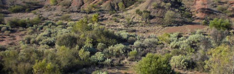 Henbury Meteorites Conservation Reserve
