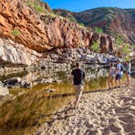 A group looking at the waterhole in Ormiston Gorge