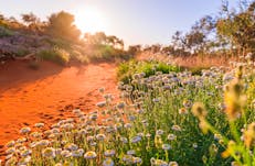 Start or end your visit to the Desert Park at the Coolamon Cafe