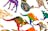 Paint Your Own Australian Animal