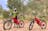 Bike to Beers MTB Tour