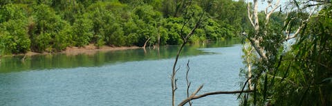The Flora River.