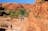 Larapinta & the East MacDonnells -9 Day - Group-Guided