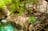 Katherine Gorge - Nitmiluk National Park - Full Day Tour