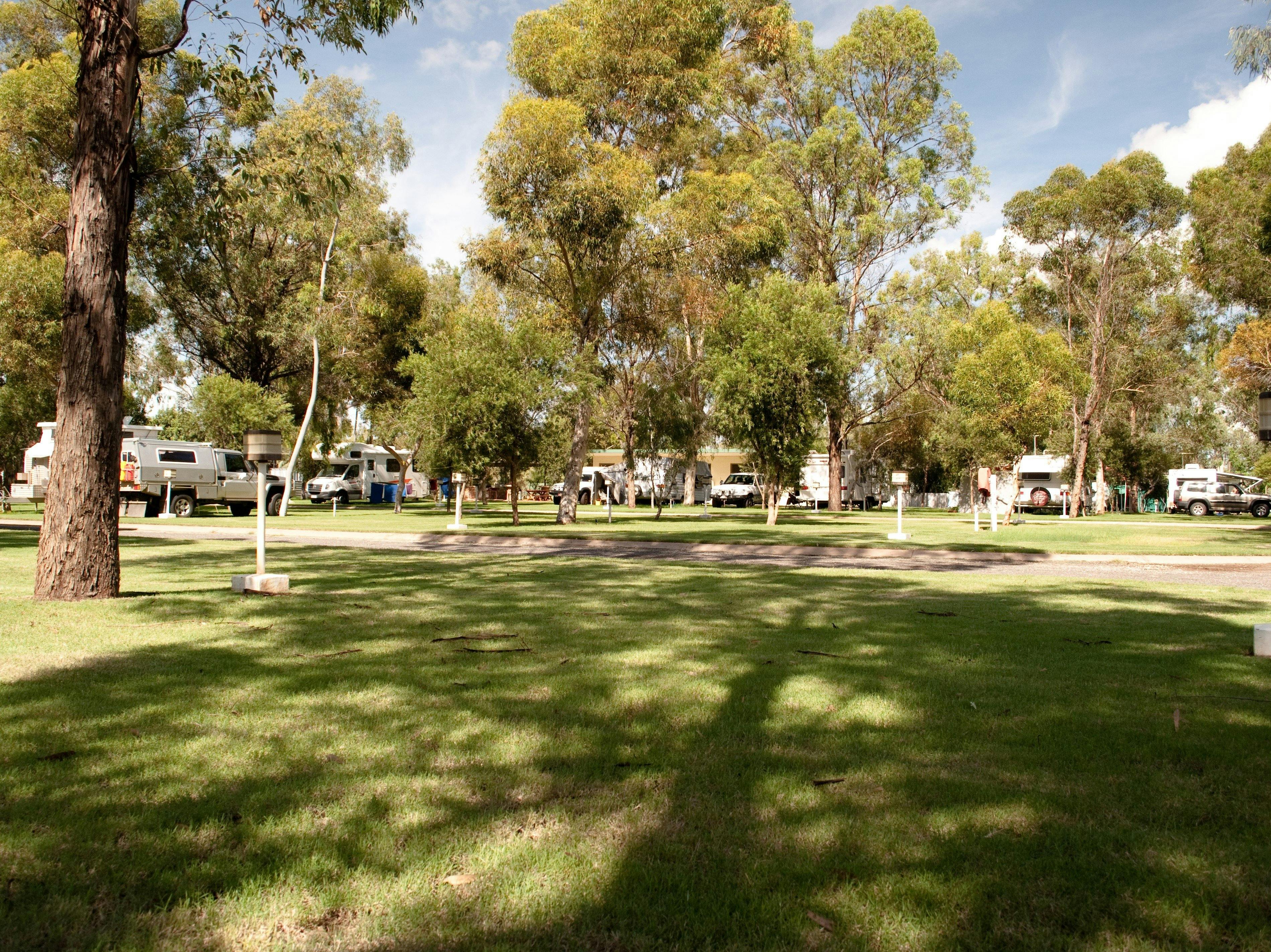 Grassed shady sites which offer a peaceful relaxing place to rest up after a day exploring Alice