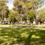 Grassed shady sites which offer a peaceful relaxing place to rest up after a day exploring Alice