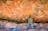 Injalak Rock Art Tours