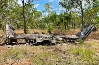 Half Day Mandorah Explorer