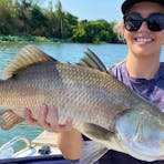 Fish Alure Darwin
