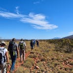 6 day Trek Larapinta