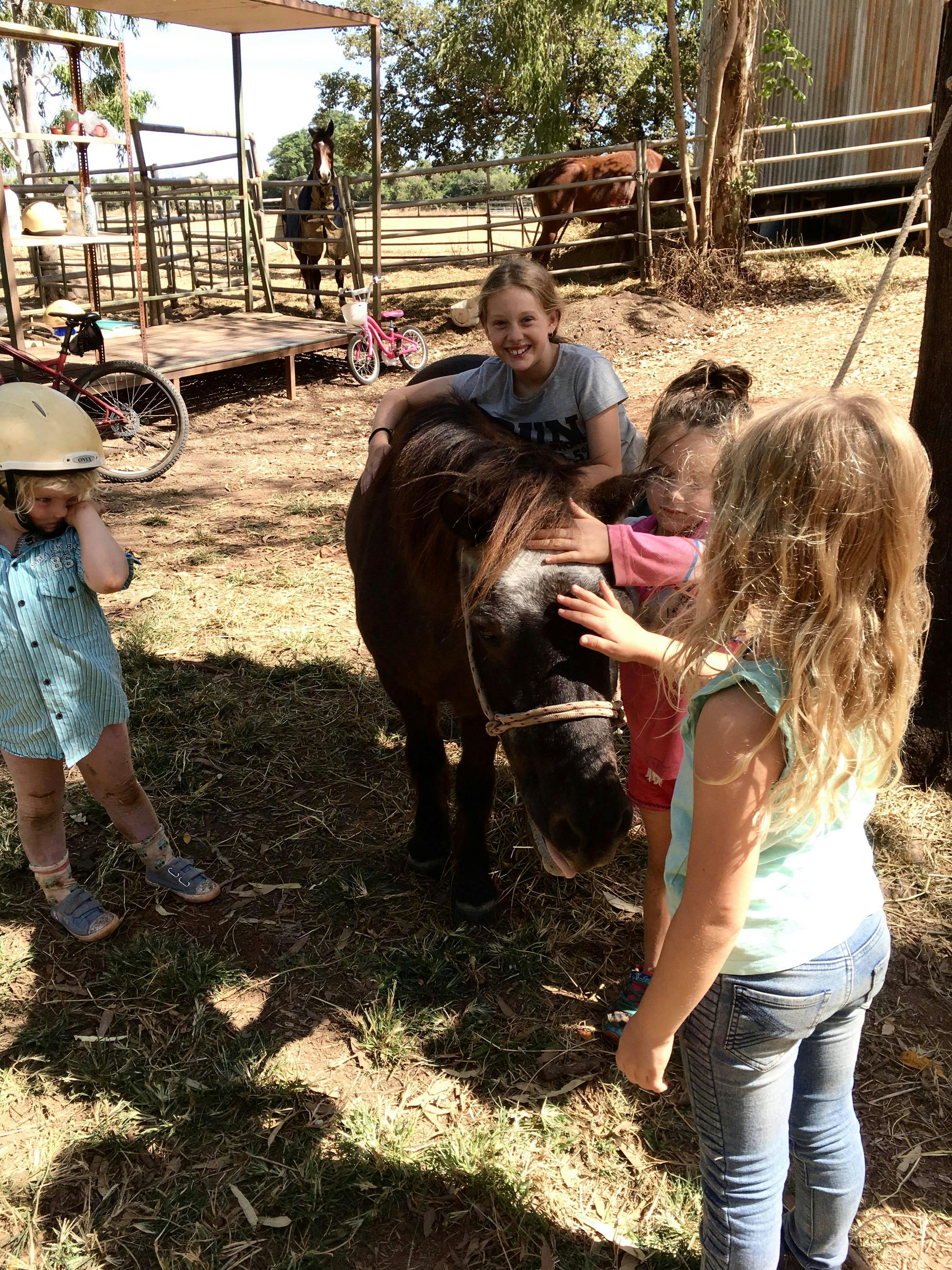 Kids kuddling shetland pony