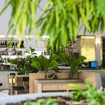 Inside of Flick's bar showing part of a tree, high seating and booths and the main bar