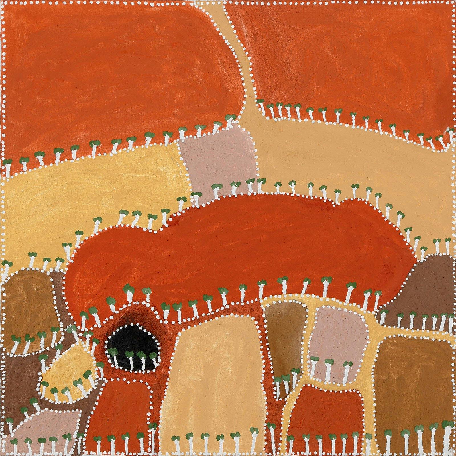 Title: Jiwibany Marjad Wardam Purru (The morning star, is the leader for all the stars)
