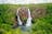 Wetland and Waterfall Tour
