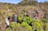 Litchfield National Park & Berry Springs, Premium Day Tour