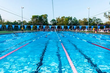 Jabiru Aberto Luglietti Swimming Pool