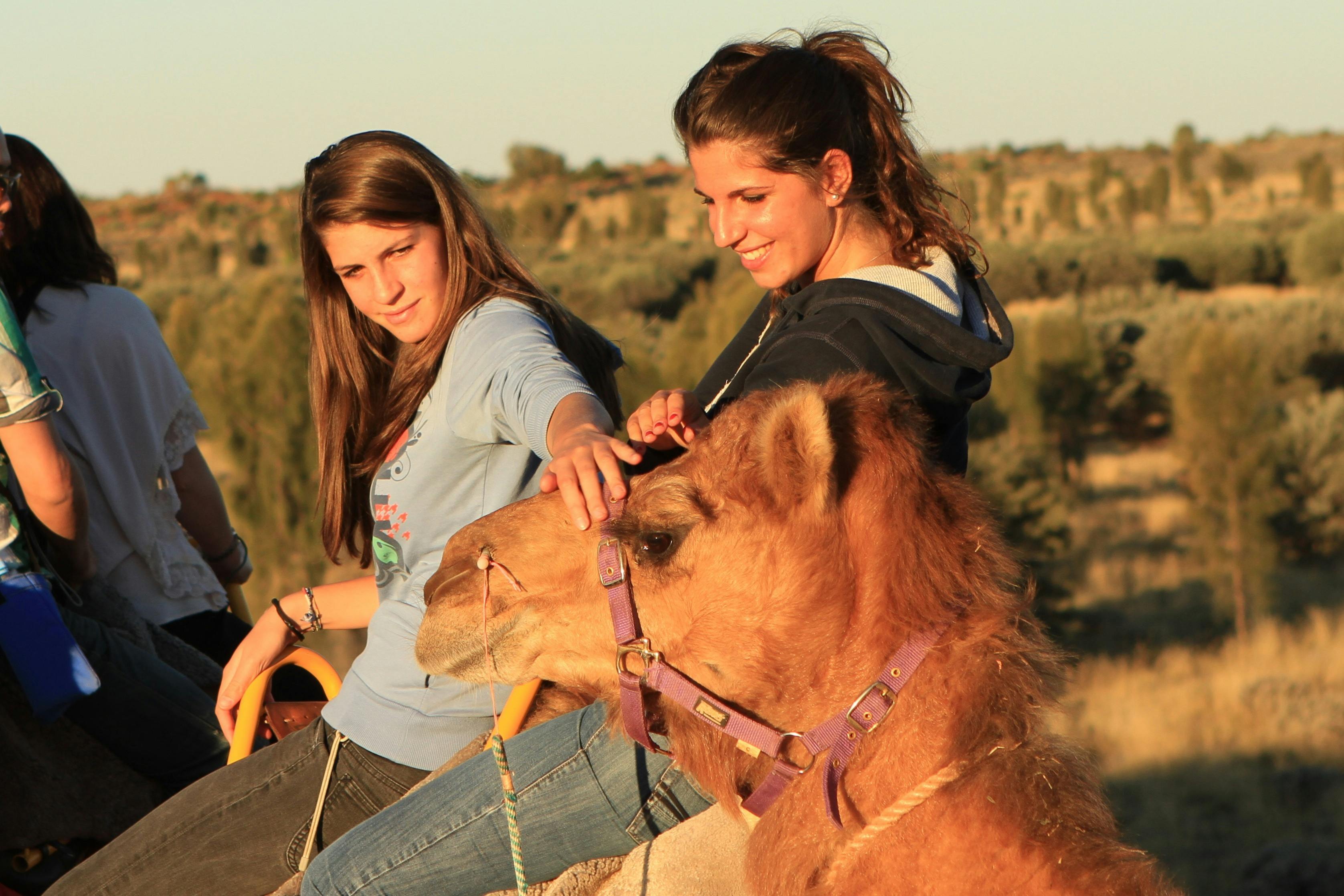 Camel Farm