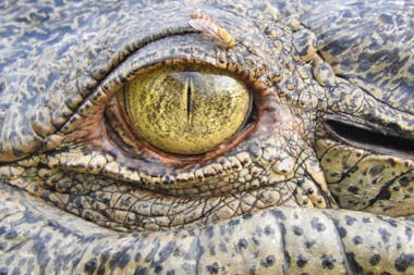 7-day Kakadu and Arnhem Land tour