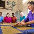 Curtin Springs Paper