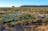 Discovery Parks – Alice Springs