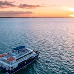 Charles Darwin Sailing into the sunset