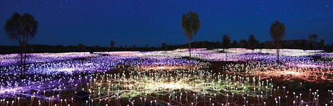 Field of Light